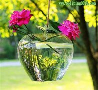 创意苹果形玻璃花瓶 悬挂式透明水培花器 时尚欧式家居装饰品