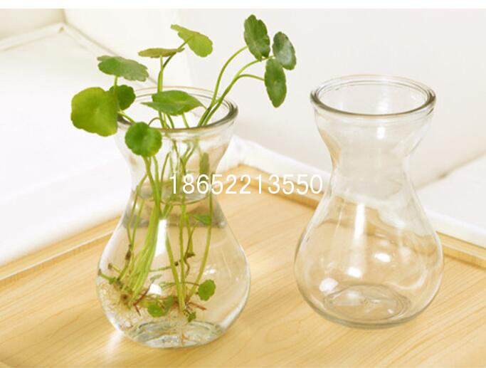 风信子玻璃花瓶